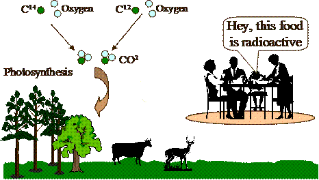 how is carbon 14 used in radioactive dating